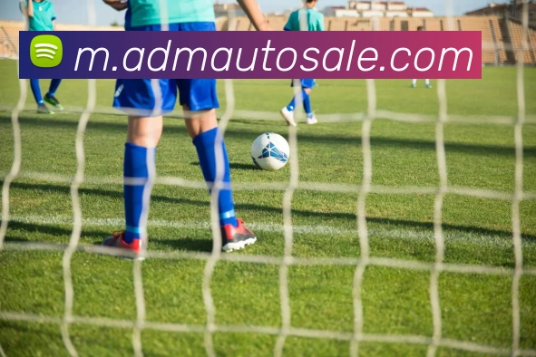 企业概况